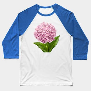 Sweet Alyssum Baseball T-Shirt